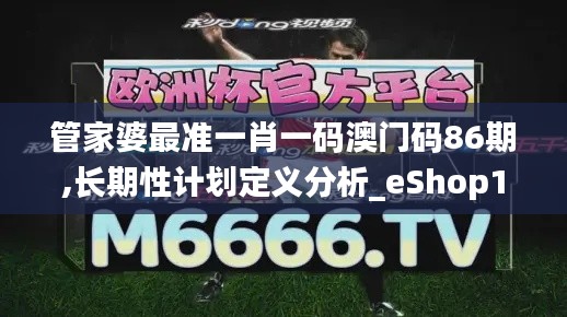 管家婆最准一肖一码澳门码86期,长期性计划定义分析_eShop13.919