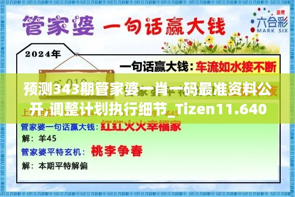 预测343期管家婆一肖一码最准资料公开,调整计划执行细节_Tizen11.640