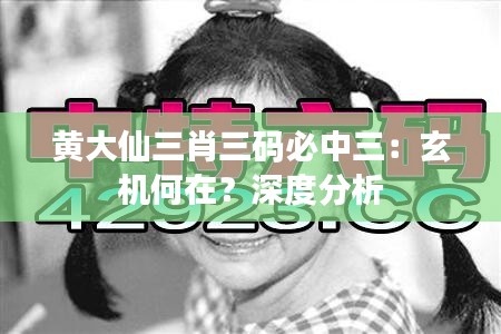 黄大仙三肖三码必中三：玄机何在？深度分析