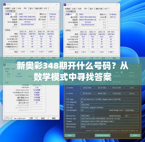 新奥彩348期开什么号码？从数学模式中寻找答案