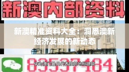 新澳精准资料大全：洞悉澳新经济发展的新动态