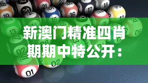 新澳门精准四肖期期中特公开：财富自由的捷径