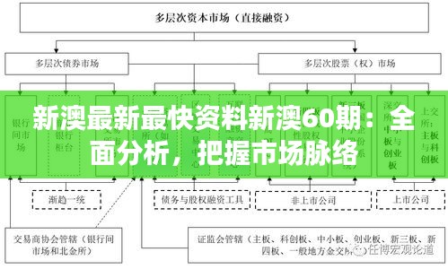 新澳最新最快资料新澳60期：全面分析，把握市场脉络