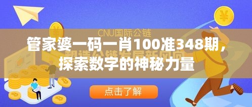 管家婆一码一肖100准348期，探索数字的神秘力量