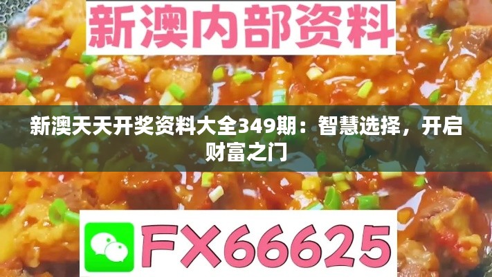 新澳天天开奖资料大全349期：智慧选择，开启财富之门