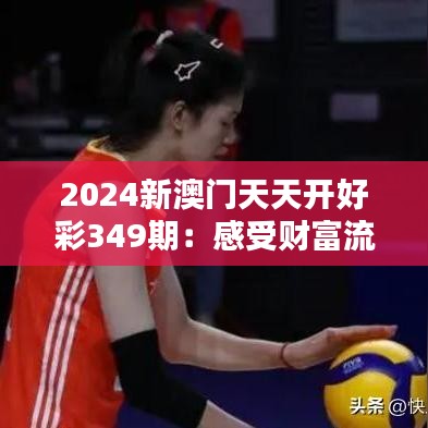 2024新澳门天天开好彩349期：感受财富流转的速度与激情