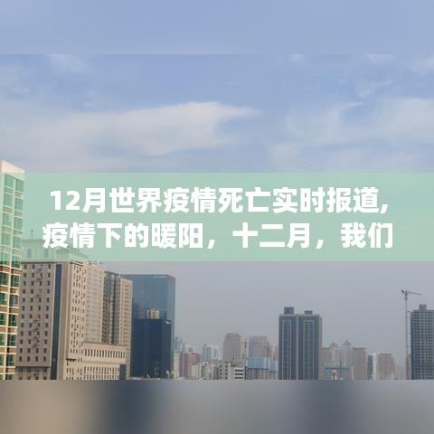 疫情下的暖阳，十二月全球疫情实时报道与挑战中的温情故事