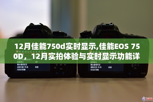 佳能EOS 750D 12月实拍体验，实时显示功能详解