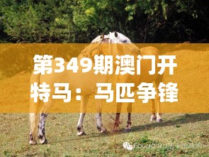 第349期澳门开特马：马匹争锋的黄金时刻