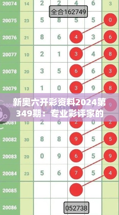 新奥六开彩资料2024第349期：专业彩评家的精准推荐，不容错过