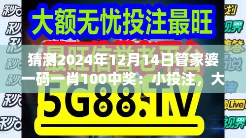 猜测2024年12月14日管家婆一码一肖100中奖：小投注，大希望