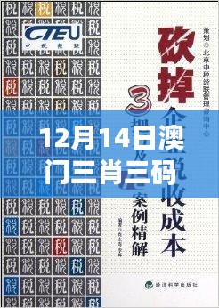 12月14日澳门三肖三码精准100%黄大仙：黄大仙的数字秘术解码