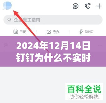 揭秘钉钉不实时通知背后的原因，穿越喧嚣探寻自然之旅