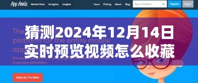 如何收藏体验与细节，解析2024年12月14日实时预览视频的收藏未来