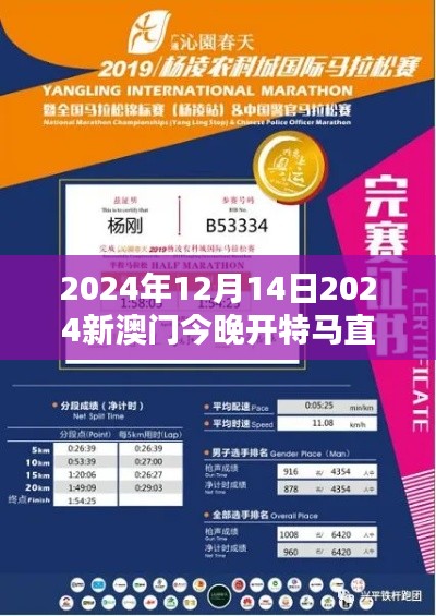 2024年12月14日2024新澳门今晚开特马直播：特马赛跑的非凡夜，澳门特马的辉煌时刻