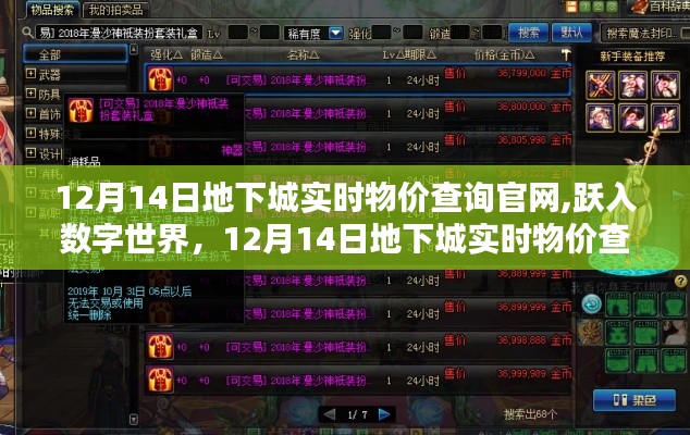 跃入数字世界，12月14日地下城实时物价查询官网助你走向自信与成就之路