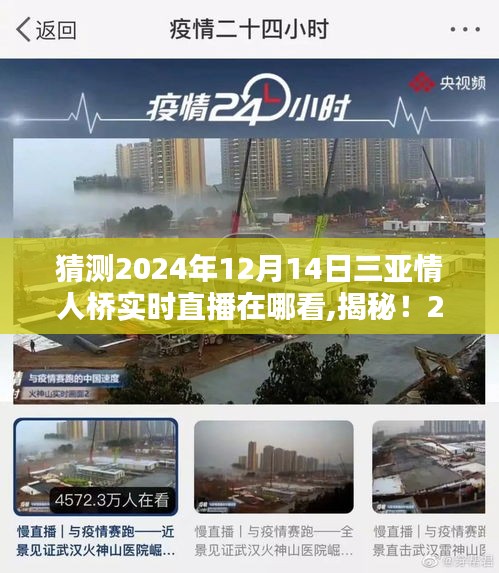 揭秘！三亚情人桥直播盛宴，探寻神秘观景点，2024年直播不容错过！