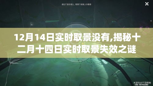 揭秘十二月十四日实时取景失效之谜，原因、解决方案与案例分析揭秘真相！