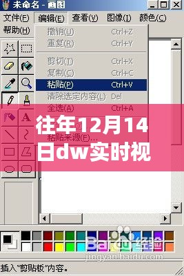 DW实时视图与设计的独特风采，12月14日的别样展现与对比