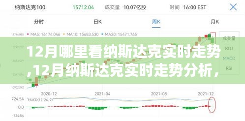 12月纳斯达克实时走势分析与全面指南，实时动态、深度解读与使用指南