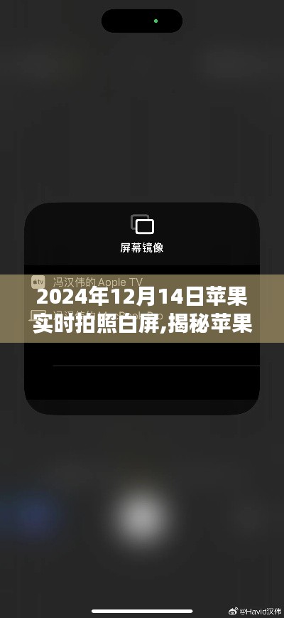 揭秘苹果相机实时拍照白屏问题，深度解析与解决方案（2024年）