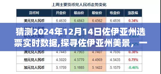 佐伊亚州选票预测与美景探寻，一场心灵之旅的选票实时数据与预测之旅（2024年12月14日）