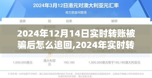 实时转账被骗怎么办？追回资金全攻略（2024年实时更新）