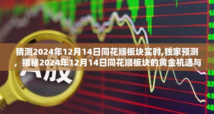 揭秘，2024年12月14日同花顺板块的黄金机遇与挑战之独家预测分析