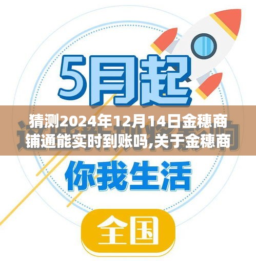 关于金穗商铺通实时到账功能的预测分析，展望2024年12月14日的可能性与趋势探讨