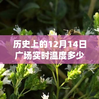 适宜温度解析