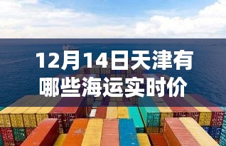 揭秘天津海运新纪元，实时掌握天津海运价格，科技引领智慧物流新体验（仅针对12月14日）