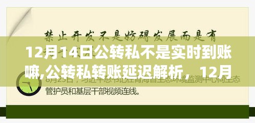 探究公转私转账延迟原因及解析，关于12月14日公转私到账时效分析