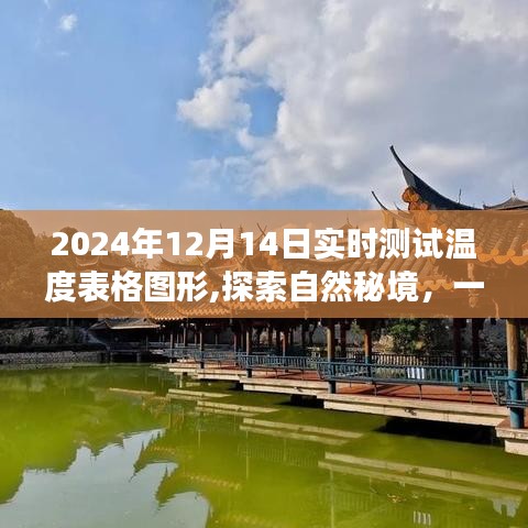 暖心旅程，探索自然秘境的实时温度数据图表记录（2024年12月14日）