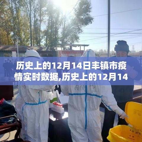 历史上的12月14日丰镇市疫情实时数据深度解析与多维度分析，特性、体验、竞品对比及用户群体探讨