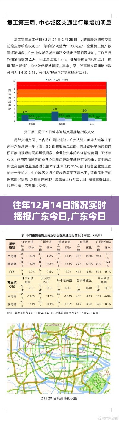 广东今日路况播报评测，特性、体验、竞品对比与用户洞察分析