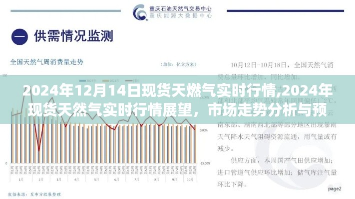 2024年现货天然气实时行情分析与市场走势预测