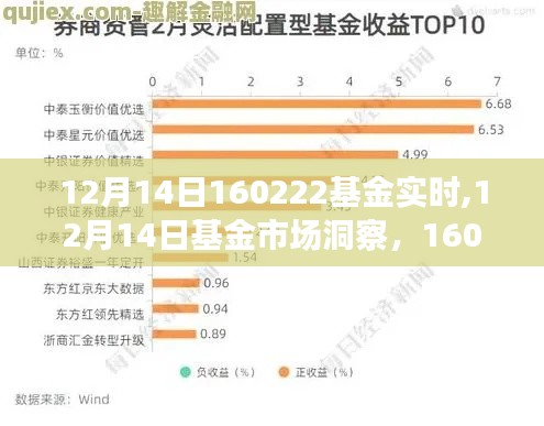 12月14日基金市场洞察与动态分析，聚焦160222基金实时走势