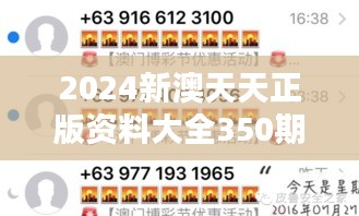 2024新澳天天正版资料大全350期：资料储备丰富的体现，助力全方位精准营销