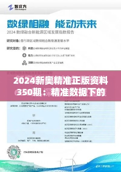 2024新奥精准正版资料350期：精准数据下的决策利器，为企业导航