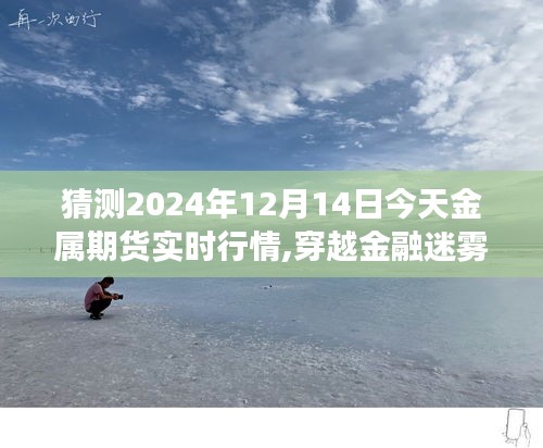 金融迷雾中的心灵之旅，预测2024年金属期货行情的奇妙邂逅