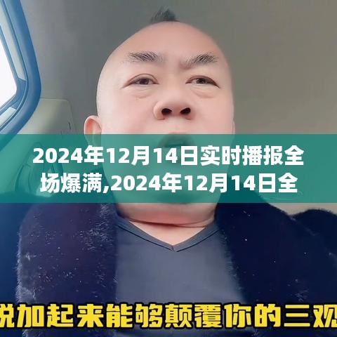 深度解析，供需关系视角下的2024年12月14日全场爆满现象