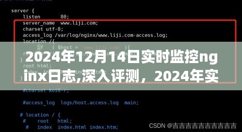 2024年实时监控Nginx日志深度评测与特性分析