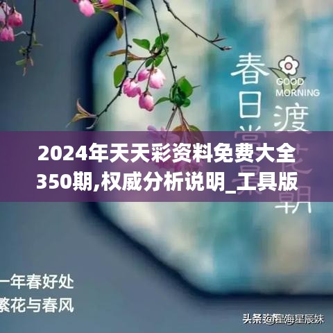 2024年天天彩资料免费大全350期,权威分析说明_工具版6.752