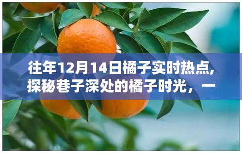 探秘巷子深处的橘子时光，特色小店在历年12月14日的实时热点揭秘