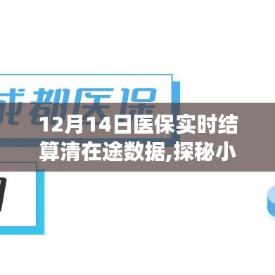 街角特色小店医保实时结算揭秘，12月14日清在途数据探秘