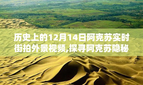 探寻阿克苏隐秘小巷，揭秘特色小店的实时街拍传奇视频——12月14日阿克苏街拍纪实