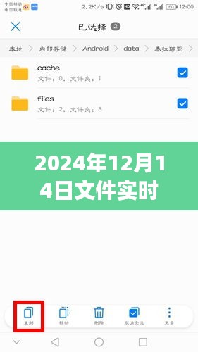 赴一场与自然的浪漫之约，实时克隆备份之旅的启程与探索（2024年）