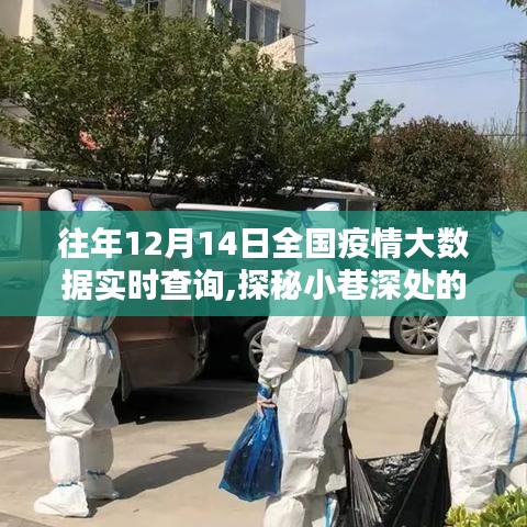 探秘特色小店，疫情数据宝藏藏于日常小巷深处，全国疫情大数据实时查询揭秘往年12月14日数据