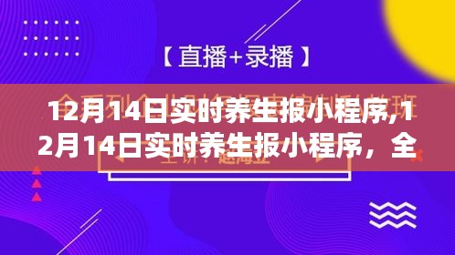 12月14日实时养生报小程序，全面评测与详细介绍