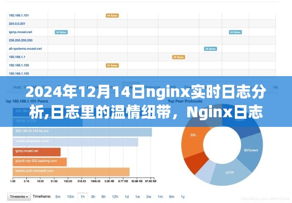 Nginx日志中的温情纽带，家庭故事与实时日志分析